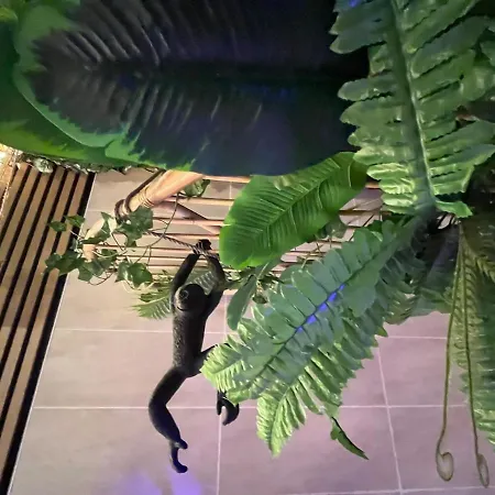 Jungle Jacuzzi Ambiance Tropicale 아파트 *