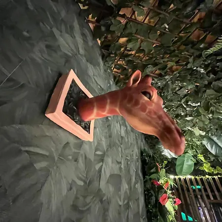 Jungle Jacuzzi Ambiance Tropicale 에페르네이