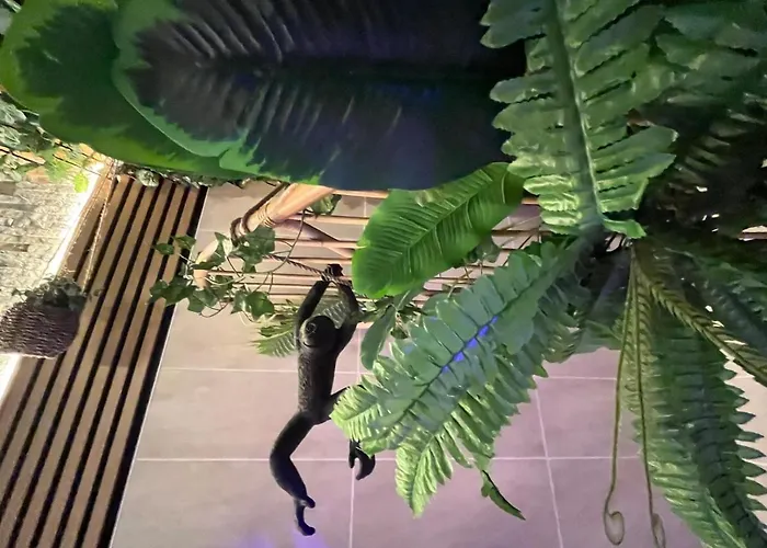 Jungle Jacuzzi Ambiance Tropicale Apartment *