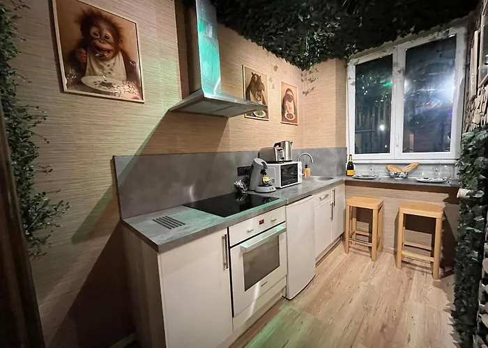 Apartment Jungle Jacuzzi Ambiance Tropicale *