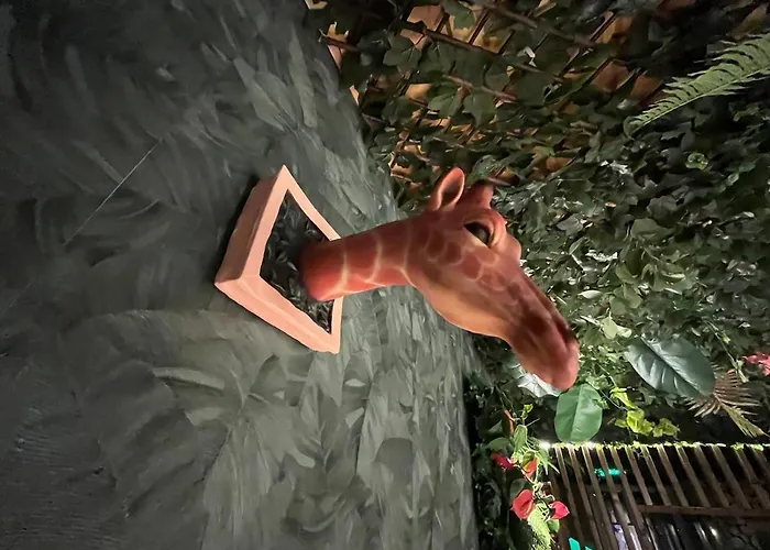 Jungle Jacuzzi Ambiance Tropicale Épernay